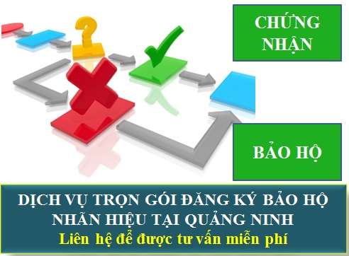 Dịch vụ đăng ký bảo hộ nhãn hiệu tại Quảng Ninh