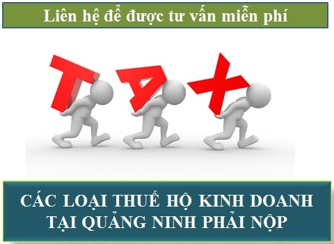 Hộ kinh doanh tại Quảng Ninh phải nộp những loại thuế nào