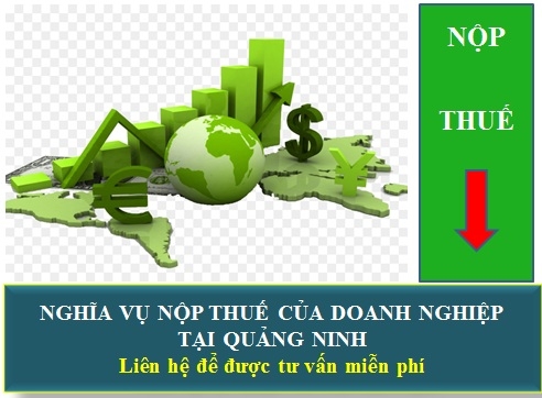 Nghĩa vụ Nộp Thuế Của Doanh Nghiệp Tại Quảng Ninh