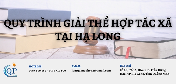 Quy Trình Giải Thể Hợp Tác Xã Tại Hạ Long