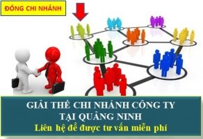 Giải Thể Chi Nhánh Công Ty Tại Quảng Ninh