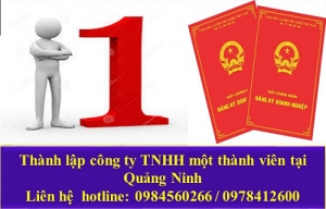 Thành lập công ty TNHH một thành viên tại Quảng Ninh