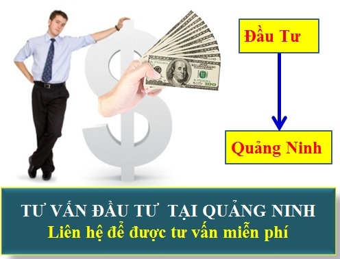 Tư vấn đầu tư tại Quảng Ninh